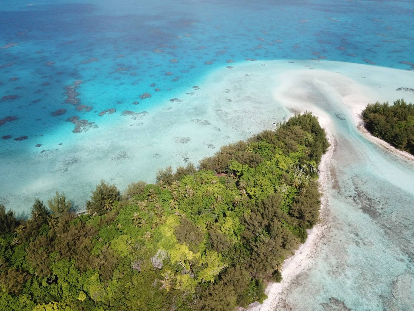 FP Scenic, French Polynesia